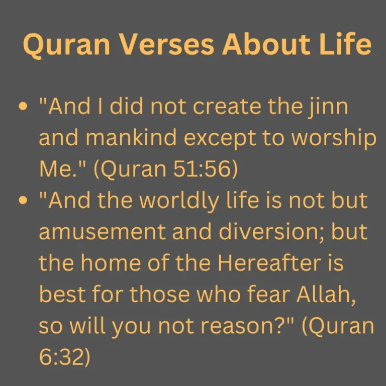 Quran Verses About Life