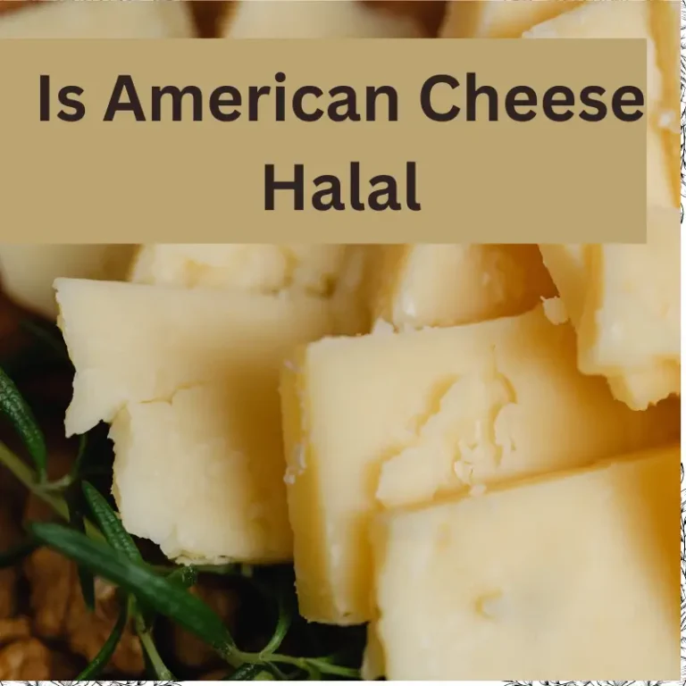 Is American Cheese Halal? Quick Explain With Facts
