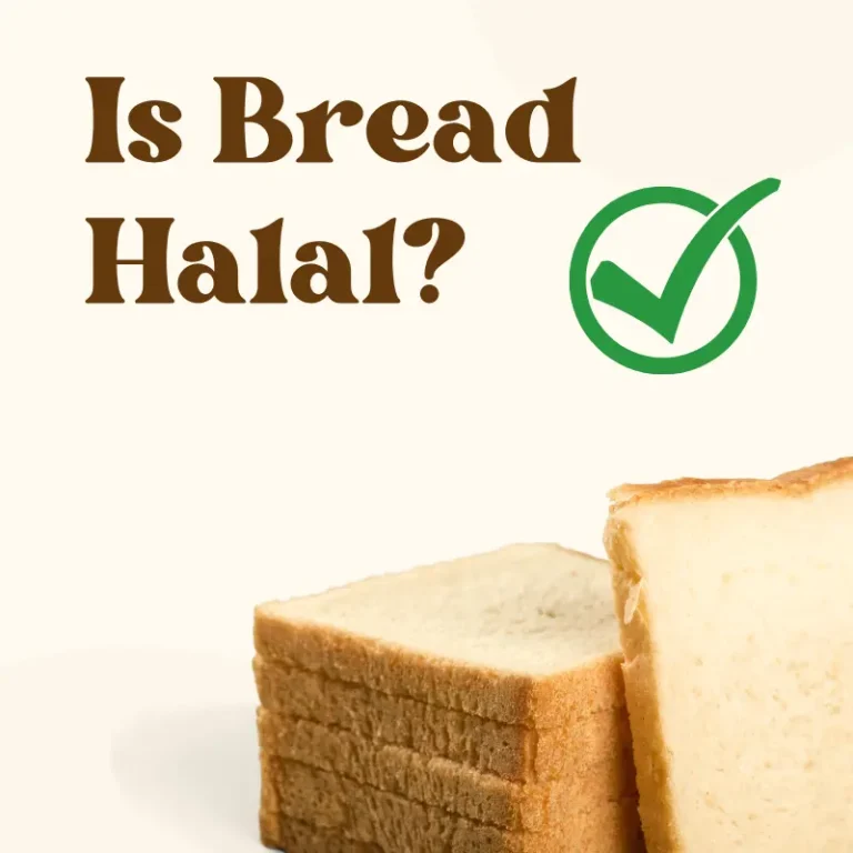 Is Bread Halal? All You Need To Know