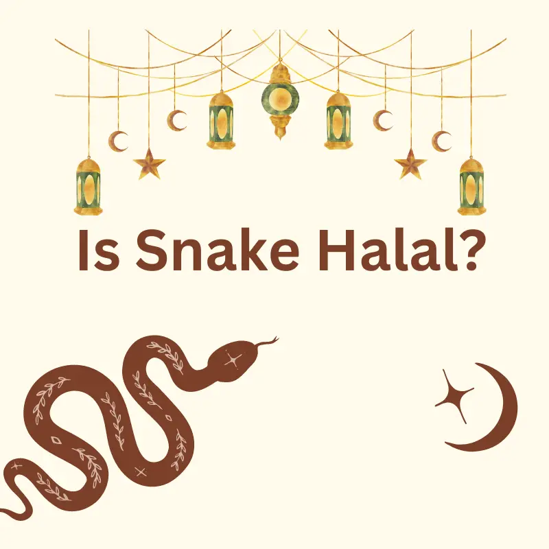 Is Snake Halal