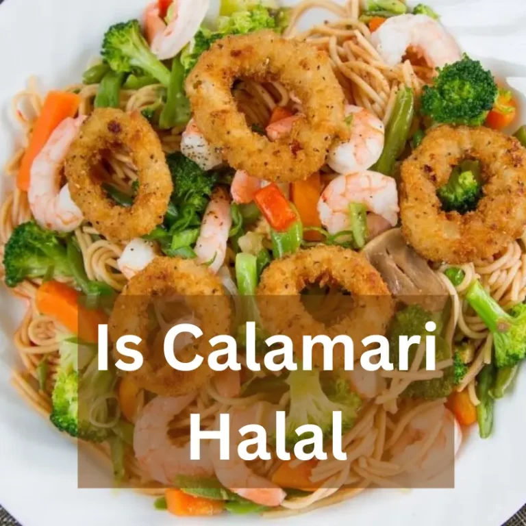 Is calamari Halal or Haram?? Know the real truth