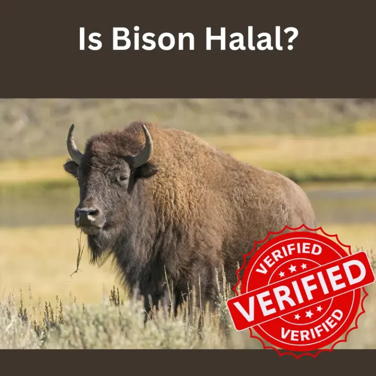 Is Bison Halal?